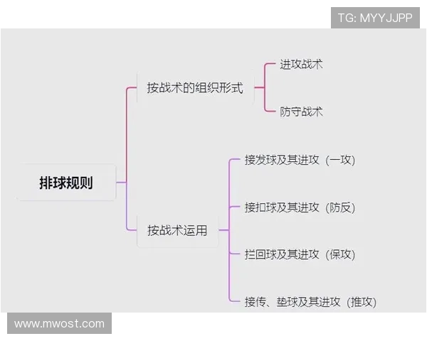 杭州排球队中路突破分析与战术反思探讨